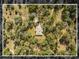 Overhead photo showcases the roof of a home surrounded by dense trees at 580 Mercers Fernery Rd., Deland, FL 32720