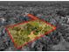 Aerial view of a wooded property with boundaries highlighted in red at 580 Mercers Fernery Rd., Deland, FL 32720