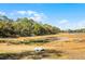 Lush backyard with lake access and space for paddle boats and other water activities at 6490 Se 180Th Avenue Rd, Ocklawaha, FL 32179