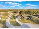 Aerial view of a home in a neighborhood surrounded by lush trees at 1603 Brookstone Ln, Fruitland Park, FL 34731