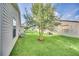Beautiful backyard with green grass and a young tree, nestled between neighboring homes at 16865 Se 94Th Sunnybrook Cir, The Villages, FL 32162