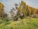 Overlook with lush greenery and vibrant orange flowers, creating a colorful and natural scene by a calm lake at 3339 Landing Vw, Tavares, FL 32778