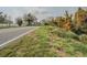 An asphalt road bordered by green grass and vibrant orange flowers, creating a colorful and natural scene at 3339 Landing Vw, Tavares, FL 32778