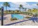 Community pool with lounge chairs, palm trees, and manicured bushes surrounded by the neighborhood at 412 Arbor Pointe Ave, Minneola, FL 34715