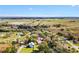 Aerial view of the home surrounded by greenery at 4723 Cr 306, Lake Panasoffkee, FL 33538