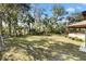 Spacious backyard with mature trees at 4723 Cr 306, Lake Panasoffkee, FL 33538
