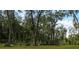 Expansive backyard with mature trees, a vegetable garden and lush greenery at 600 Urick St, Fruitland Park, FL 34731