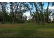 Large, green backyard surrounded by mature trees and lush landscaping at 600 Urick St, Fruitland Park, FL 34731