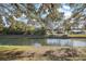 Serene view of a fenced backyard overlooking a tranquil pond surrounded by mature trees at 705 Cortez Ave, The Villages, FL 32159