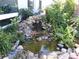 Backyard lush water feature with decorative rocks and water plants creating a tranquil and inviting outdoor space at 10173 Julia Isles Ave, Oxford, FL 34484
