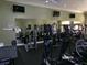 Well-equipped fitness center with modern exercise machines, weights, and mirrors for a complete workout at 10173 Julia Isles Ave, Oxford, FL 34484
