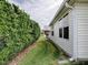 Well-maintained backyard featuring lush greenery and a clear view of the house siding and gutter at 3067 Southern Trce, The Villages, FL 32162