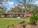 Beautiful front yard featuring a well-maintained lawn and a charming home with a colorful exterior at 36816 Taylor Mill Rd, Fruitland Park, FL 34731
