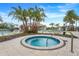 A community hot tub with stone surround provides a soothing spa experience with palm trees and tropical landscaping nearby at 831 Zeek Ridge Ct, Clermont, FL 34715