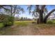 Expansive backyard featuring mature trees and space for outdoor activities at 119 E Croton Way, Howey In The Hills, FL 34737