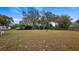 Large backyard with mature trees, offering a spacious and versatile outdoor area at 119 E Croton Way, Howey In The Hills, FL 34737