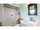 Bright bathroom features a walk-in shower with palm tree curtain, toilet and vanity with a medicine cabinet at 119 E Croton Way, Howey In The Hills, FL 34737