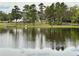 Picturesque view of lake with horses grazing on the lawn in the distance at 12066 Se 60Th Avenue Rd, Belleview, FL 34420