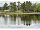 Reflective view of a serene pond showcasing horses and cows peacefully grazing on green pastures at 12066 Se 60Th Avenue Rd, Belleview, FL 34420