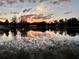 A mesmerizing view of a pond reflects the sunset and trees, creating a picturesque scene at 12066 Se 60Th Avenue Rd, Belleview, FL 34420