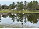 Scenic view of a tranquil pond reflecting lush trees and grazing animals on the property at 12066 Se 60Th Avenue Rd, Belleview, FL 34420