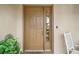 A traditional tan front door with decorative glass insert and potted plant at 1732 Madero Dr, The Villages, FL 32159