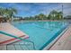 A large outdoor swimming pool with marked lanes, surrounded by palm trees and lounge chairs at 21051 Royal St Georges Ln, Leesburg, FL 34748