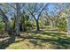 Shaded backyard featuring mature trees and lush green grass at 4324 Leafway Cir, Leesburg, FL 34748