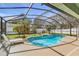 A screened in private pool is surrounded by palms and a manicured lawn at 14736 Pine Cone Trl, Clermont, FL 34711