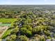 Overhead perspective highlighting the neighborhood, dense trees, and nearby green sports fields at 1620 N Rhodes St, Mount Dora, FL 32757