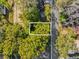 Aerial view of land plot covered by trees in a serene and lush residential area surrounded by more trees at 1620 N Rhodes St, Mount Dora, FL 32757