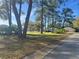 A street view of green grass and tall pine trees in the neighborhood at 1661 Stafford Springs Blvd, Mount Dora, FL 32757