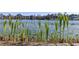 Close-up view of a lake with aquatic vegetation in the foreground at 18944 Bates Ave, Eustis, FL 32736