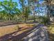 Wide yard with a driveway lined with mature trees at 18944 Bates Ave, Eustis, FL 32736