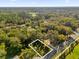 Aerial view of a treed lot on a partially developed street, offering a beautiful, secluded building location at 2030 N Highland St, Mount Dora, FL 32757