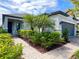 Landscaped front yard with palm trees and brick paver walkway leading to a modern home at 2313 Hamilton Ridge Road, Clermont, FL 34715