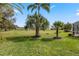 Lush backyard featuring well-maintained lawn and palm trees, creating a serene and private outdoor space at 25274 Lost Oak Cir, Leesburg, FL 34748