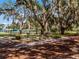 Community park area with exercise equipment, benches, and mature trees draped in Spanish moss at 27003 Racquet Cir, Leesburg, FL 34748