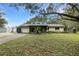 A well-maintained front yard with a palm tree and green lawn at 31241 Benton Dr, Eustis, FL 32736