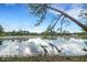 Serene lake reflecting the sky and surrounding trees, offering a peaceful and natural view at 31241 Benton Dr, Eustis, FL 32736