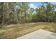 A large backyard with a concrete slab for outdoor enjoyment at 35 Sequoia Loop Ct, Ocklawaha, FL 32179