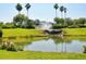 Community pond with a fountain surrounded by green grass and palm trees at 5370 Indian Ocean Loop, Tavares, FL 32778