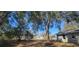 Spacious backyard with mature trees and a storage shed at 6720 Se 107Th St, Belleview, FL 34420