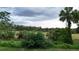 Backyard view of the property with beautiful palm trees at 709 S Highland St, Mount Dora, FL 32757