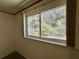 Bright window overlooking the lush foliage in the backyard at 104 Chestnut St, Leesburg, FL 34748