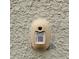 Pest control box on exterior wall of home at 1723 Happiness Row, Kissimmee, FL 34744