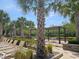 Community pool area featuring lounge chairs, pergola covered seating and landscaped palm trees at 1723 Happiness Row, Kissimmee, FL 34744