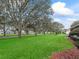 Beautifully landscaped front yard with lush green grass and mature trees in a tranquil neighborhood at 17728 Se 115Th Ct, Summerfield, FL 34491