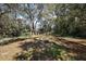 Secluded backyard with a fire pit, mature trees, and natural surroundings at 2541 Lake Griffin Rd, Lady Lake, FL 32159