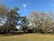 View of a grassy yard with mature trees, enhancing privacy and natural beauty at 2562 Lakeway Branch Way # 3002, Orlando, FL 32839